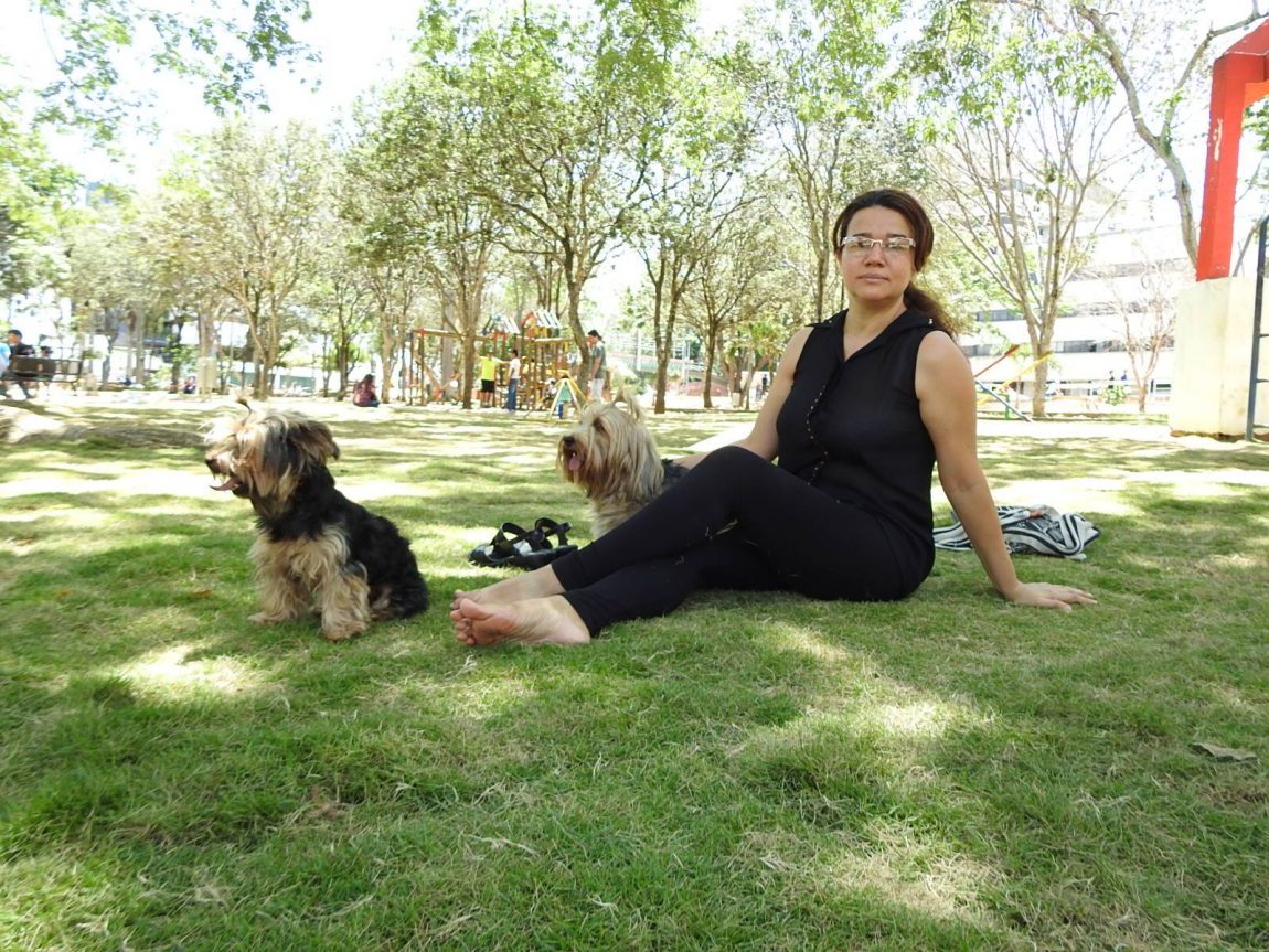 Areneros para las mascotas.
